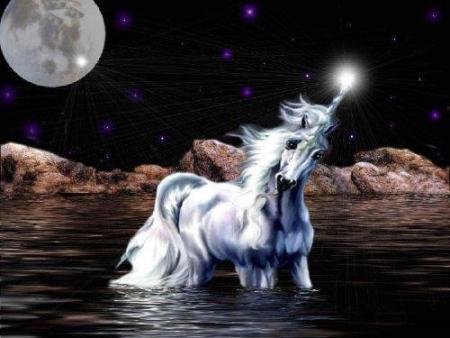 Une petite licorne ..........